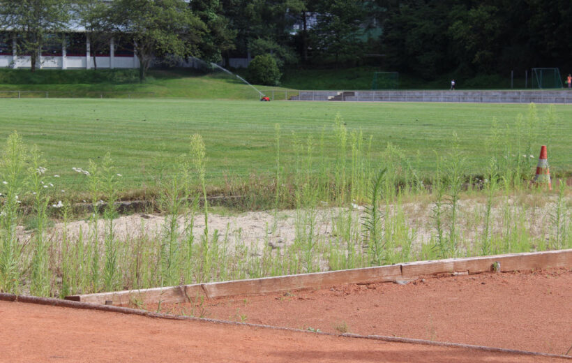 Haslachs Stadion wird 60