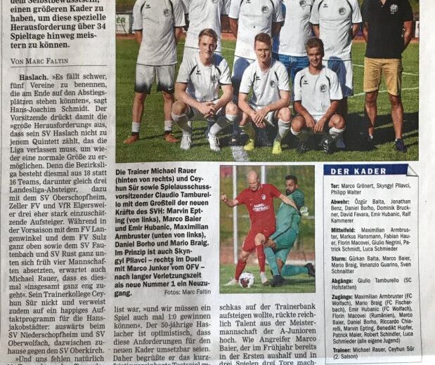 Bericht Offenburger Tageblatt vom 24.07.2018 SVH-Portrait