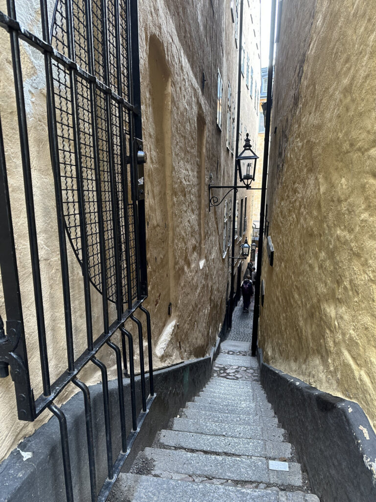 HP-SVH-Stockholm-20230923_11_27_32.jpg