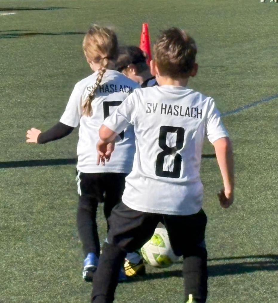 Bild 1.JPG
