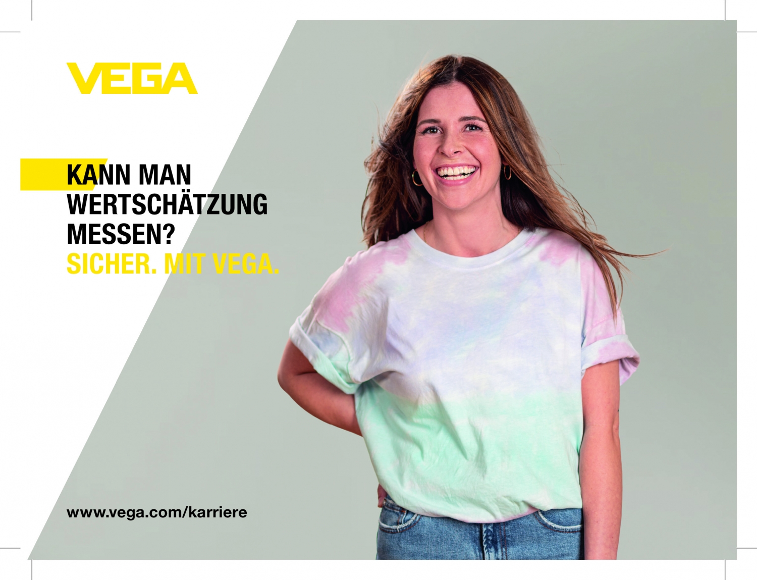 Logo VEGA Grieshaber KG, Schiltach